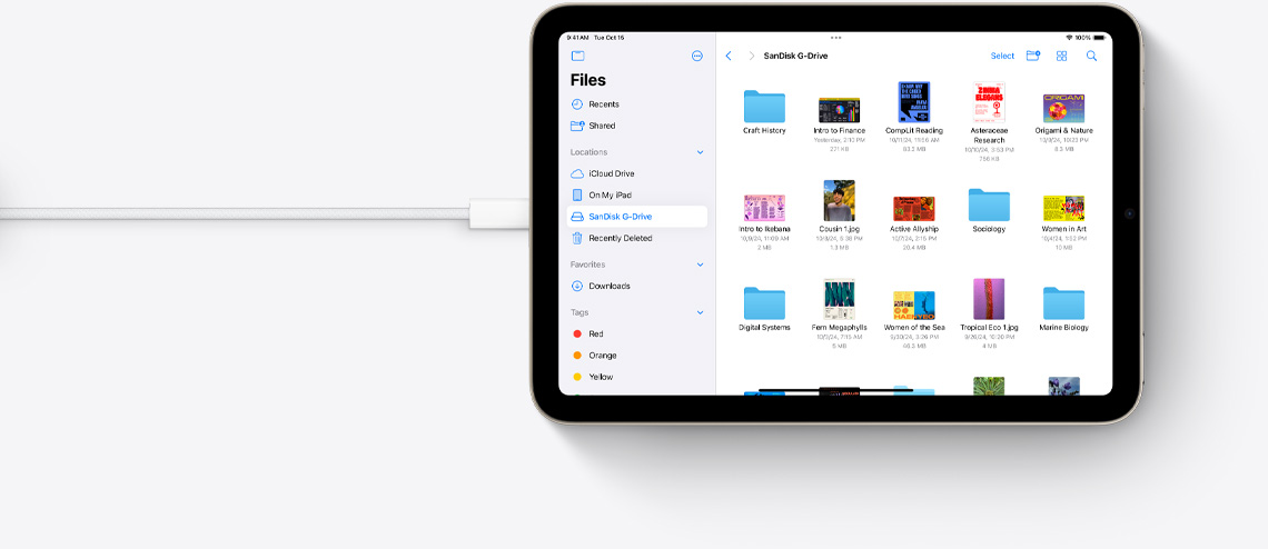 Filer vises på en iPad mini i liggende retning som er koblet til en USB-C-kabel.